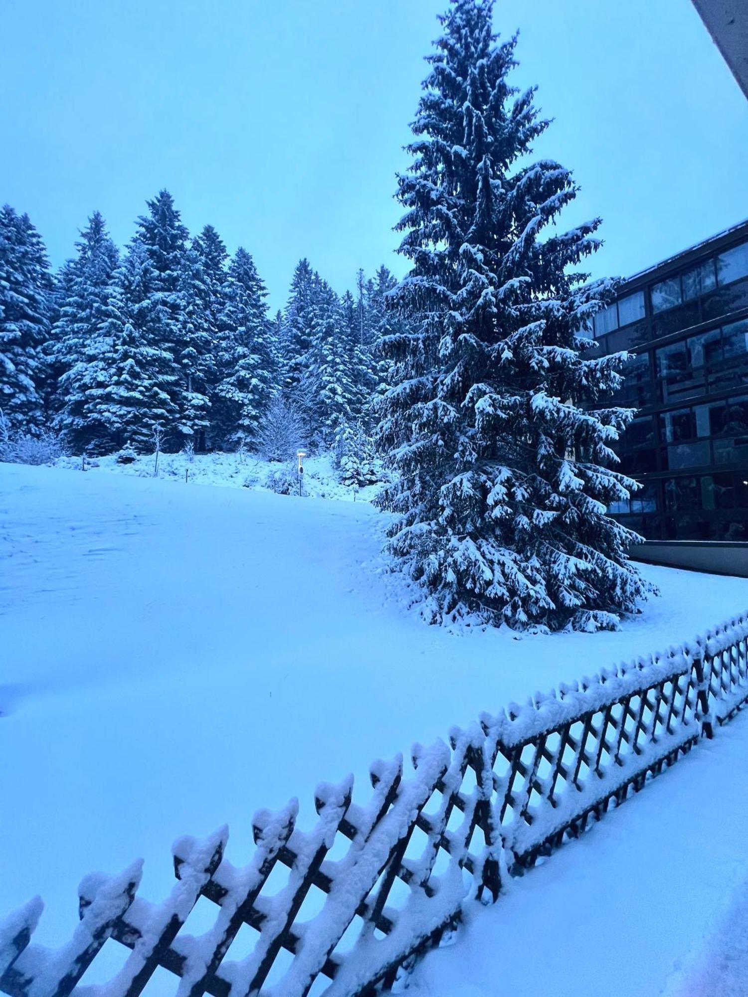 Ferienwohnung Ma Montagne Chic 4 La Bresse Exterior foto